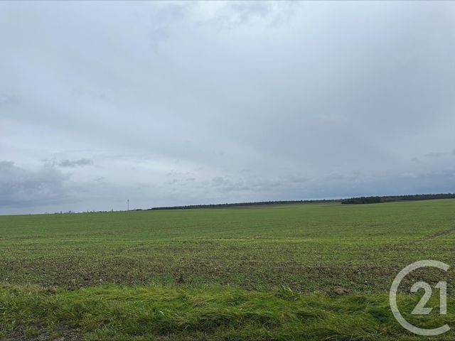 terrain à vendre - 1000.0 m2 - PITHIVIERS - 45 - CENTRE - Century 21 Mail Sud